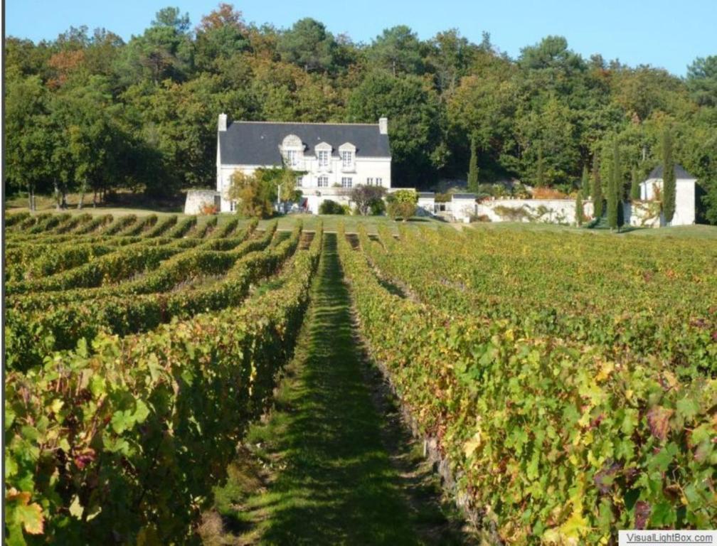 Domaine Beausejour Bed and Breakfast Panzoult Eksteriør billede